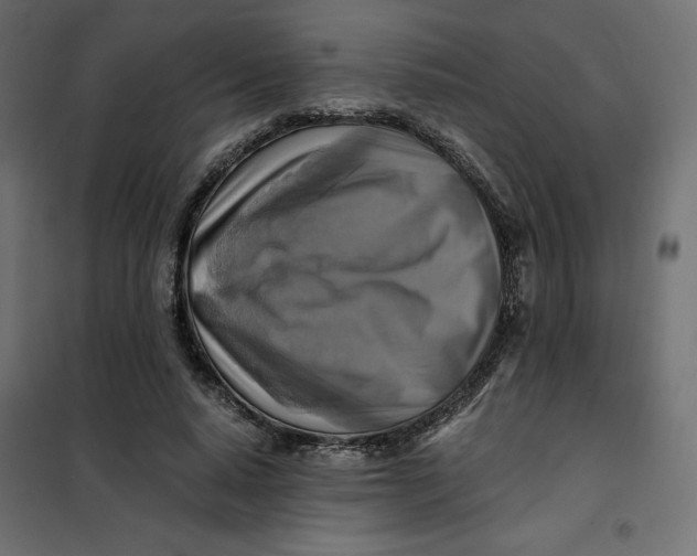 X0000101410640200807281026