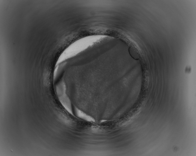 X0000101410641200807281026