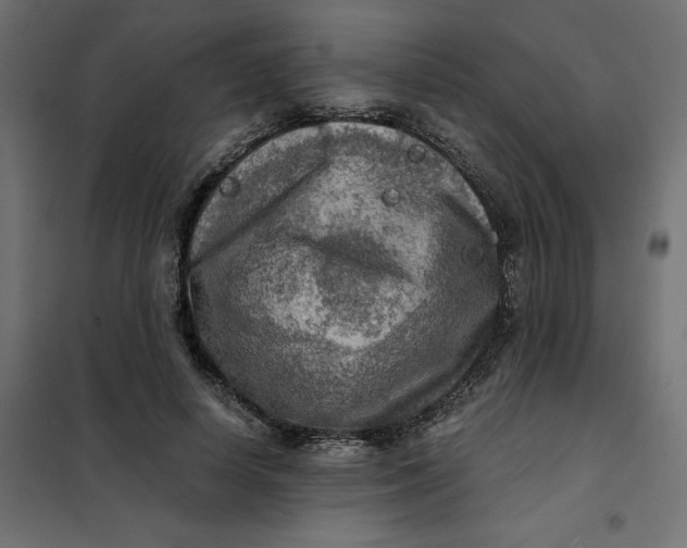 X0000101410642200807281026