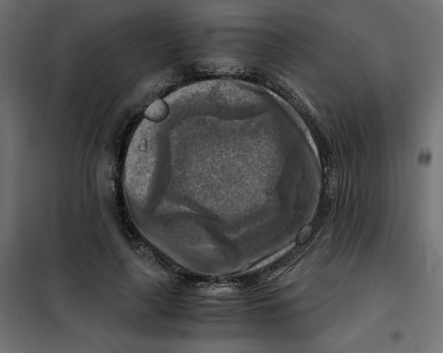 X0000101410643200807281026
