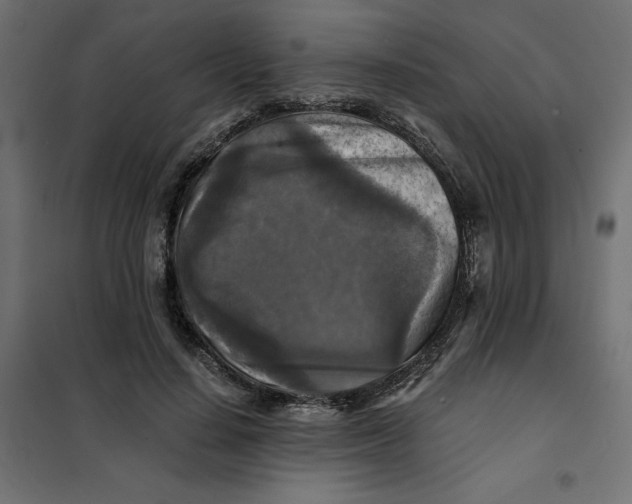 X0000101410644200807281026