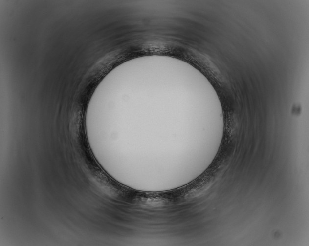 X0000101410645200807281026