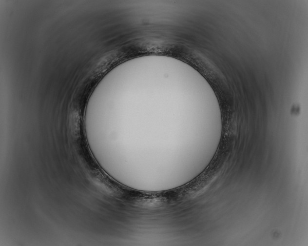 X0000101410646200807281026