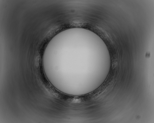 X0000101410647200807281026