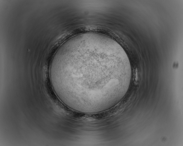 X0000101410648200807281026