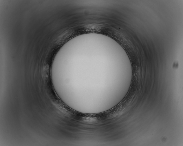 X0000101410649200807281026