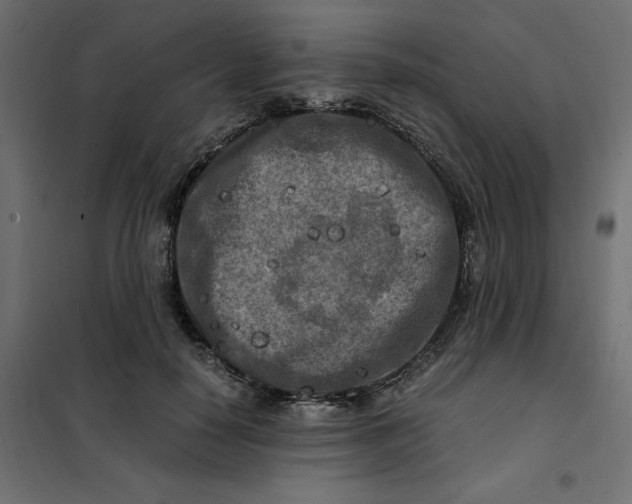 X0000101410650200807281026