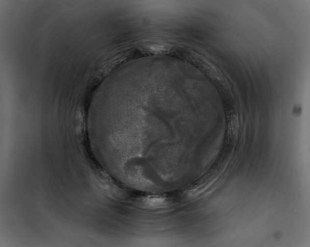X0000101410651200807281026