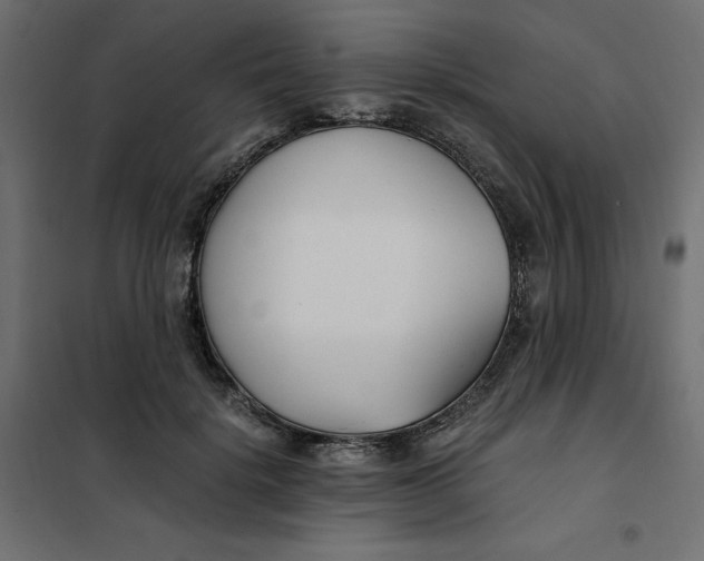 X0000101410652200807281026