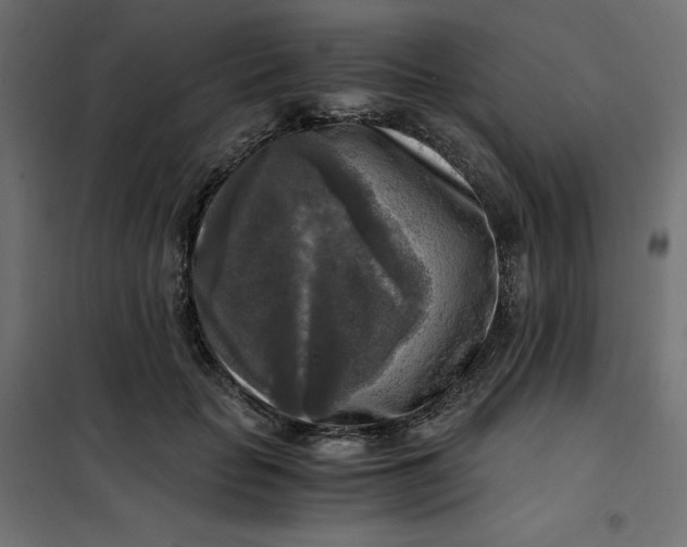 X0000101410653200807281027