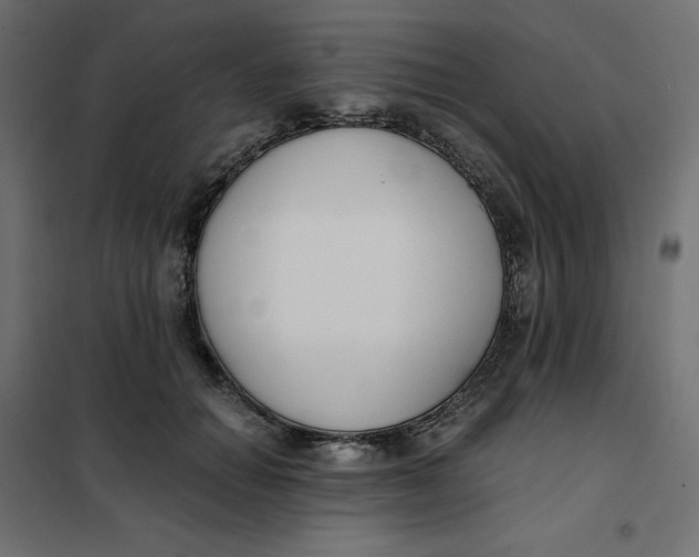 X0000101410654200807281027