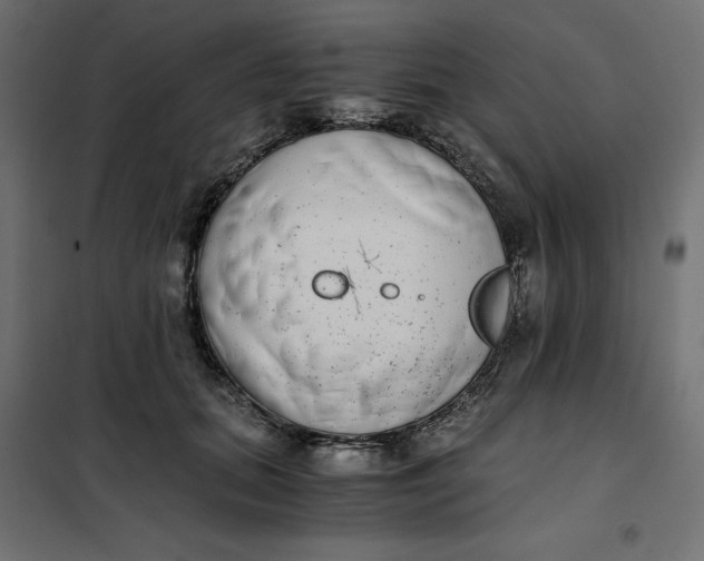 X0000101410655200807281027