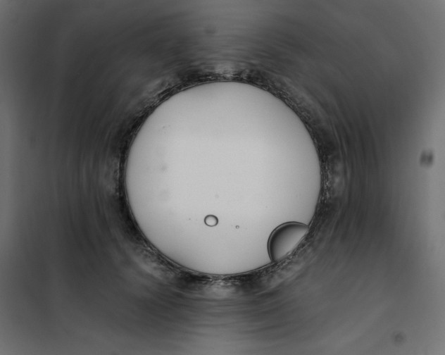 X0000101410656200807281027