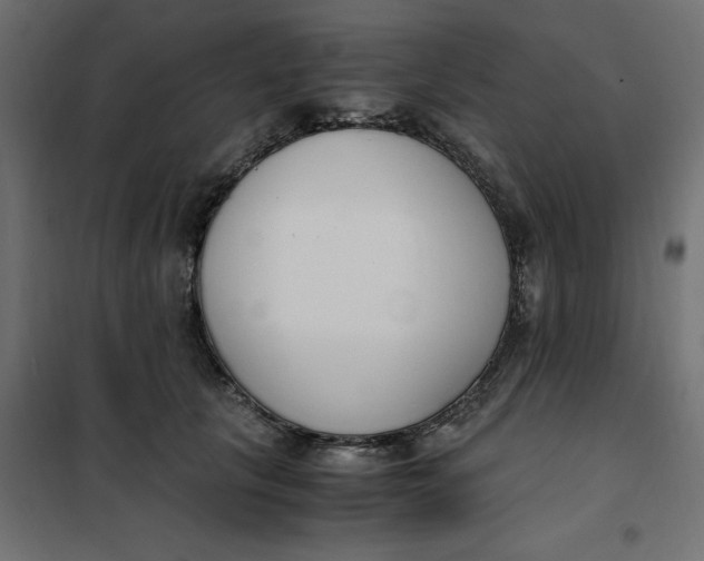 X0000101410657200807281027