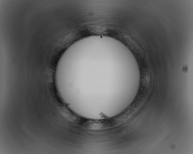 X0000101410658200807281027