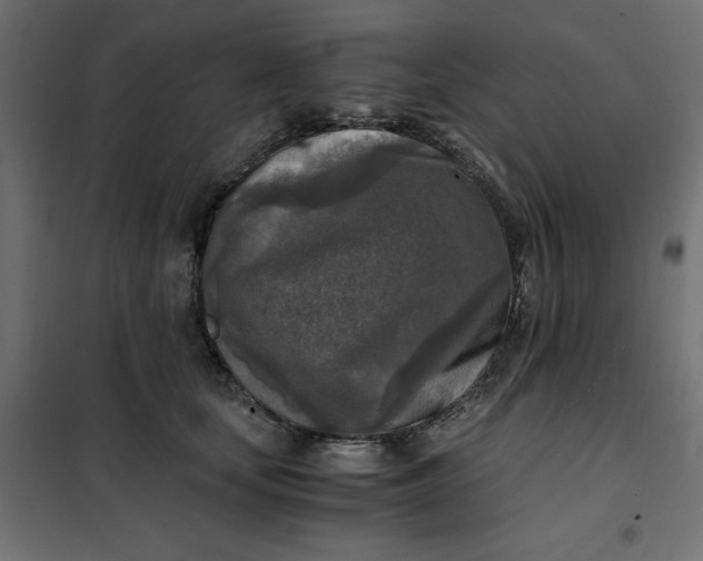 X0000101410659200807281027