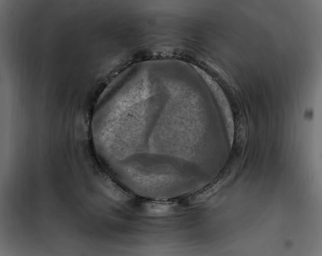 X0000101410661200807281027