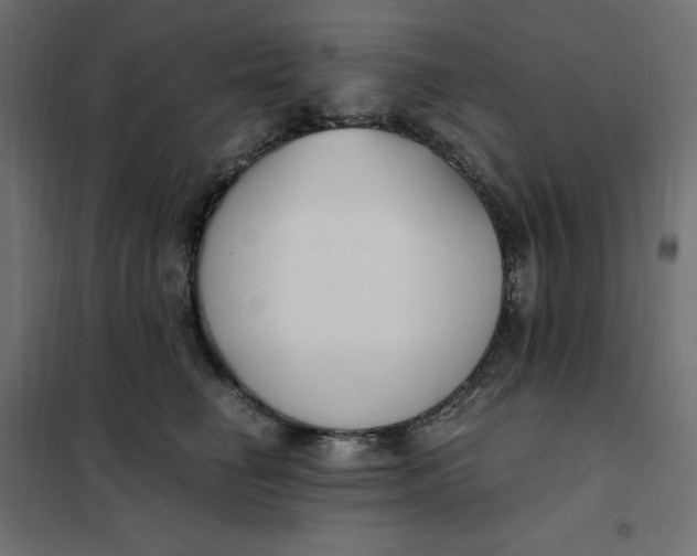 X0000101410662200807281027