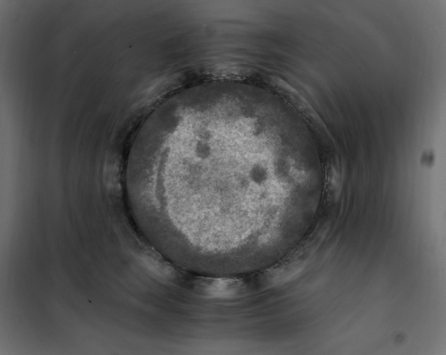 X0000101410663200807281027