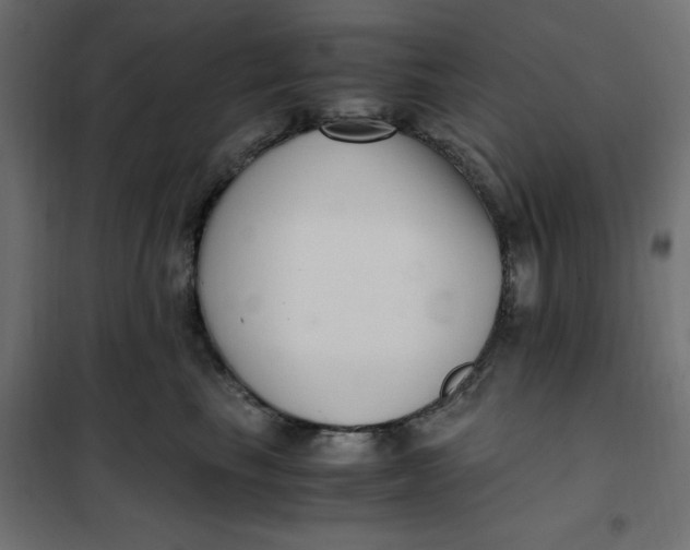 X0000101410665200807281027