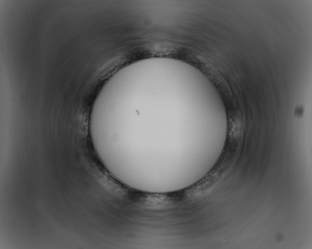 X0000101410666200807281027