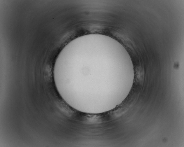 X0000101410667200807281027