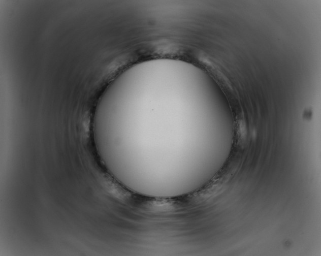 X0000101410668200807281027