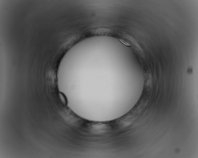X0000101410669200807281027