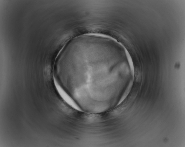 X0000101410670200807281027