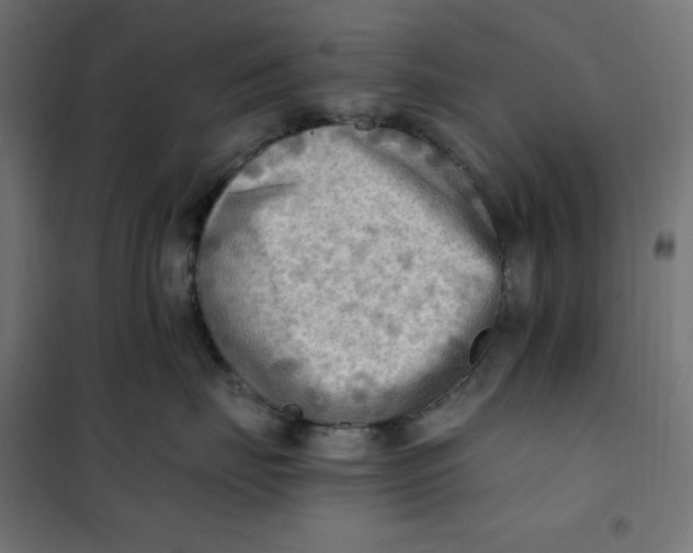 X0000101410671200807281027