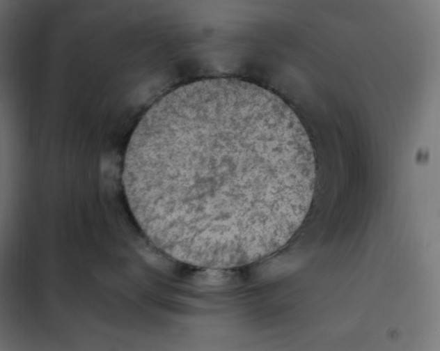 X0000101410672200807281027