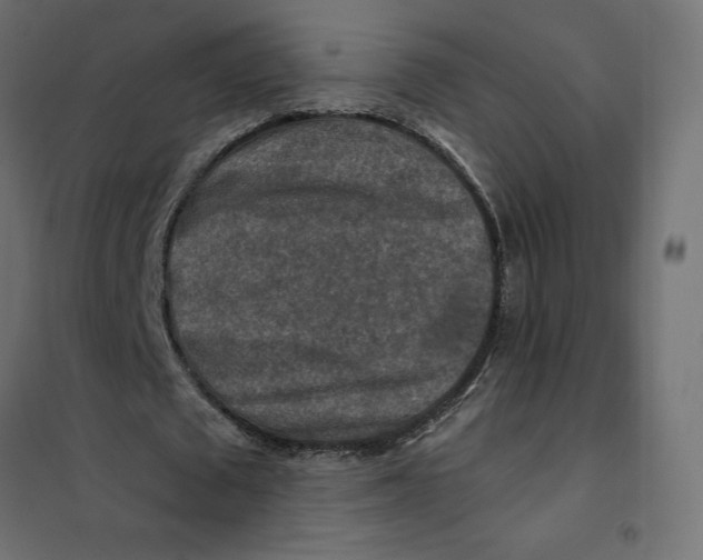 X0000101410673200807281026