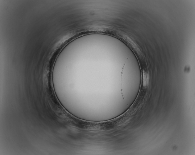 X0000101410675200807281026