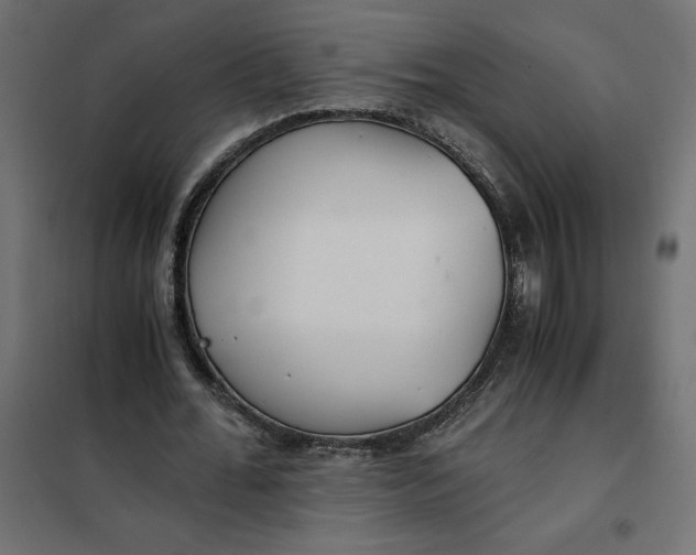 X0000101410676200807281026