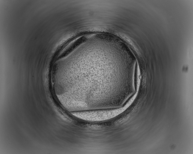 X0000101410677200807281026