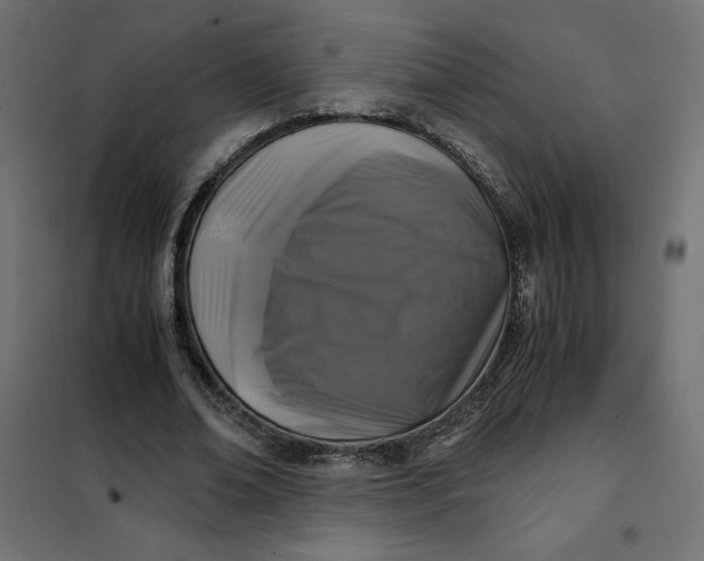 X0000101410678200807281026