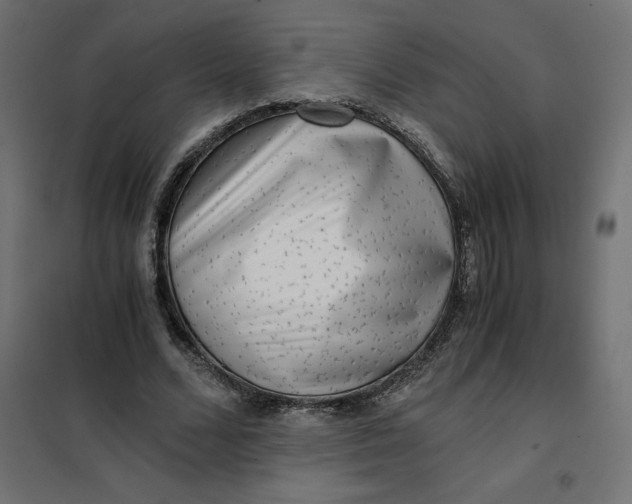 X0000101410680200807281026