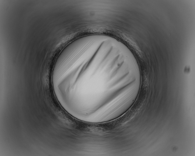 X0000101410681200807281026
