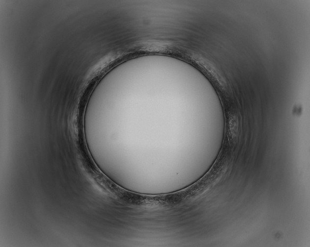 X0000101410682200807281026