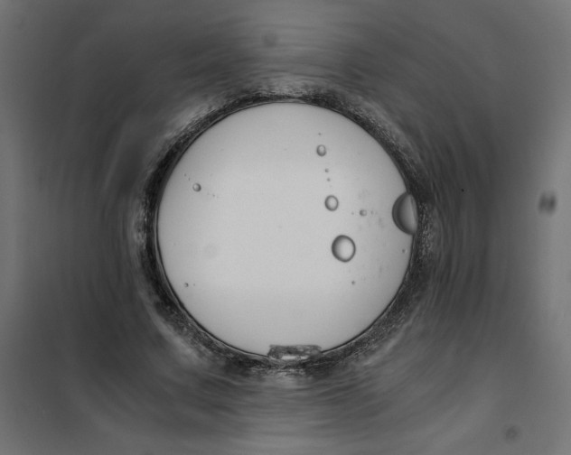 X0000101410683200807281026
