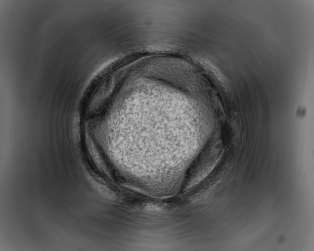 X0000101410684200807281026