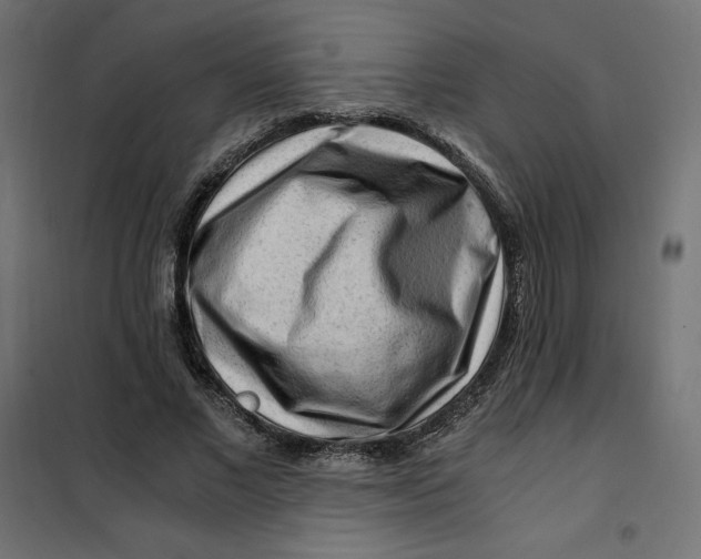 X0000101410685200807281026
