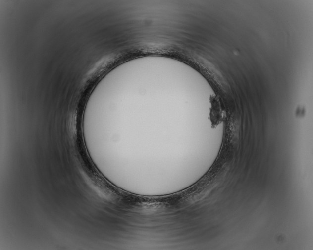 X0000101410686200807281026
