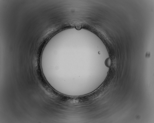X0000101410687200807281026