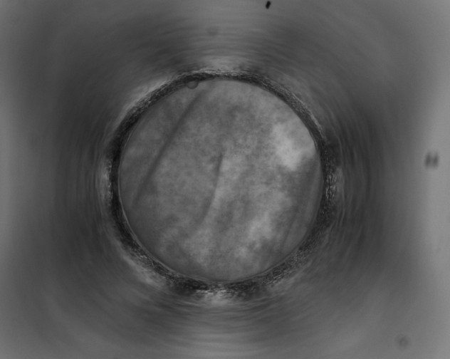 X0000101410688200807281026
