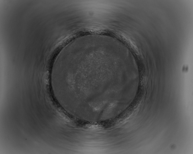 X0000101410689200807281026