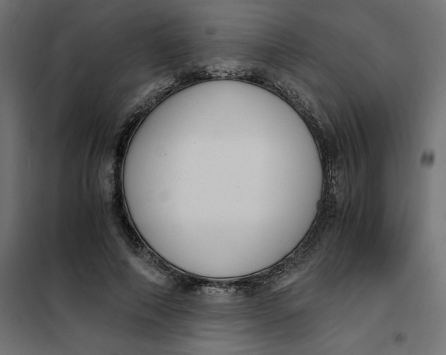 X0000101410690200807281026