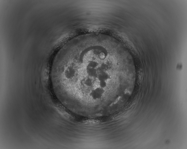 X0000101410691200807281026