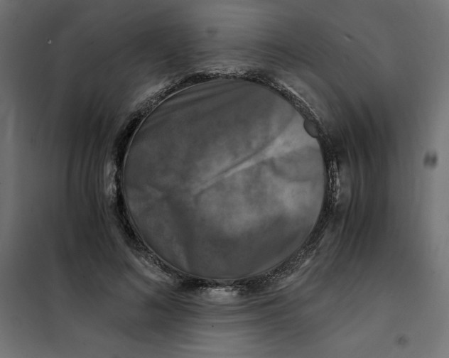 X0000101410692200807281026