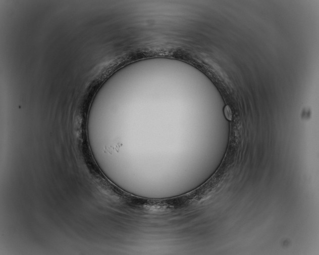 X0000101410693200807281026